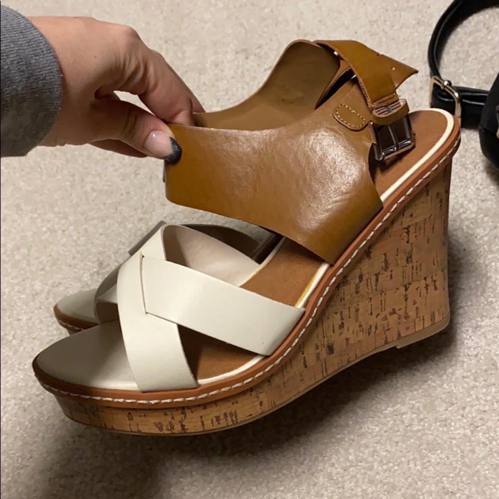 Dual color wedges